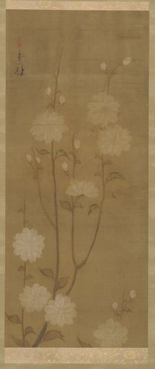 Drooping cherry branches in blossom, Edo period, mid 18th-early 19th century. Creator: Sakai Hoitsu
