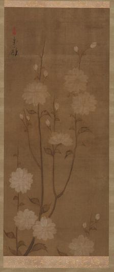 Drooping cherry branches in blossom, Edo period, mid 18th-early 19th century. Creator: Sakai Hoitsu