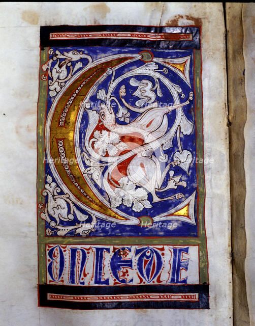 Drop cap 'C' illuminated with a quadruped and floral motifs in the 'Sacramentary of San Juan de l…