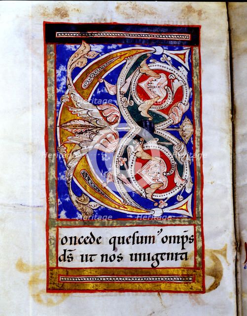 Drop cap 'C' illuminated with floral motives in the 'Sacramentary of San Juan de las Abadesas', m…