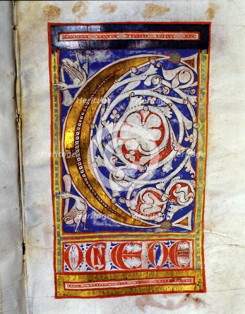 Drop cap 'C' illuminated with two birds and lush floral decoration, manuscript on parchment made?…