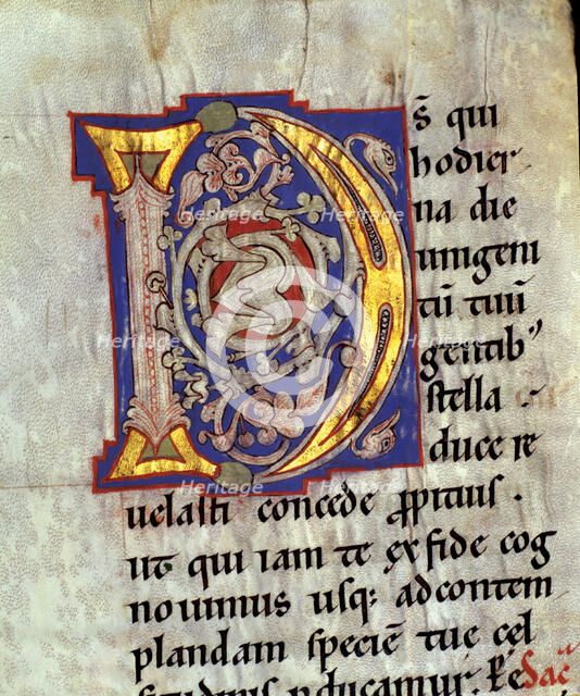 Drop cap 'D' illuminated with heads of birds and vegetables interlacing in the 'Sacramentary of S…