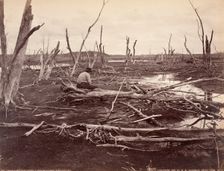 Drowned Lands Of The Raquette Lake, Printed 1888. Creator: Seneca Ray Stoddard