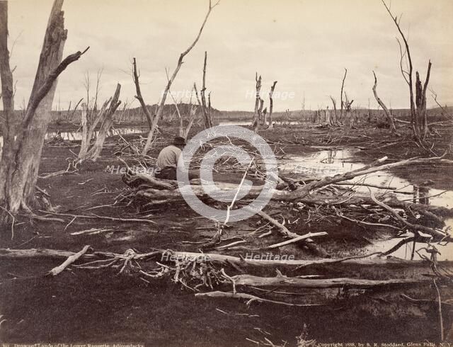 Drowned Lands Of The Raquette Lake, Printed 1888. Creator: Seneca Ray Stoddard.