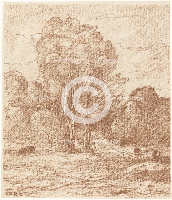 Drowsing Cattle (Le Dormoir des vaches), 1871. Creator: Jean-Baptiste-Camille Corot.