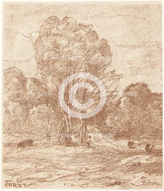 Drowsing Cattle (Le Dormoir des vaches), 1871. Creator: Jean-Baptiste-Camille Corot.