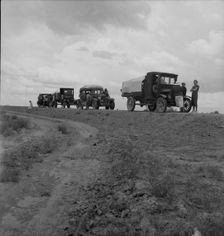 Drought refugee families from Oklahoma on road to Roswell, New Mexico, near Lordsburg, 1937. Creator: Dorothea Lange
