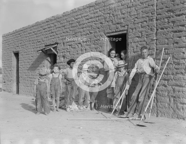 Drought refugee families...supplanting Mexican field laborers..., Near Chandler, Arizona, 1937. Creator: Dorothea Lange.
