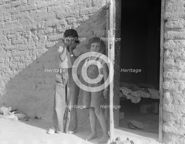 Drought refugee families... supplanting Mexican laborers in the Southwest, Chandler, Arizona, 1937. Creator: Dorothea Lange.