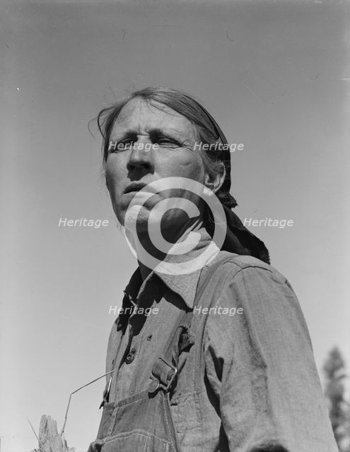 Drought refugee from Oklahoma in California, 1937. Creator: Dorothea Lange.