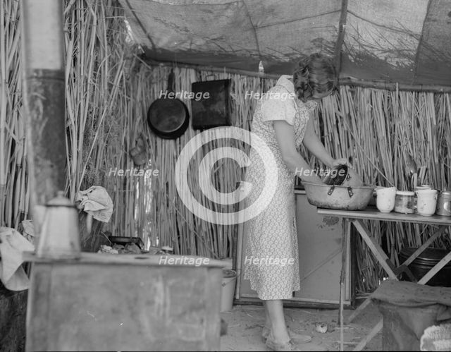Drought refugee living in a ditch bank camp, Imperial County, California, 1937. Creator: Dorothea Lange.