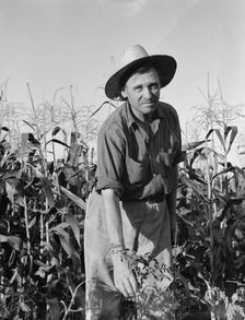 Drought refugee..., Yakima Valley, Washington, 1939. Creator: Dorothea Lange