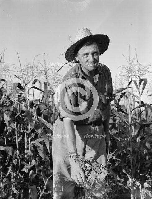 Drought refugee..., Yakima Valley, Washington, 1939. Creator: Dorothea Lange.