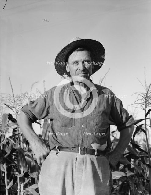 Drought refugee..., Yakima Valley, Washington, 1939. Creator: Dorothea Lange.