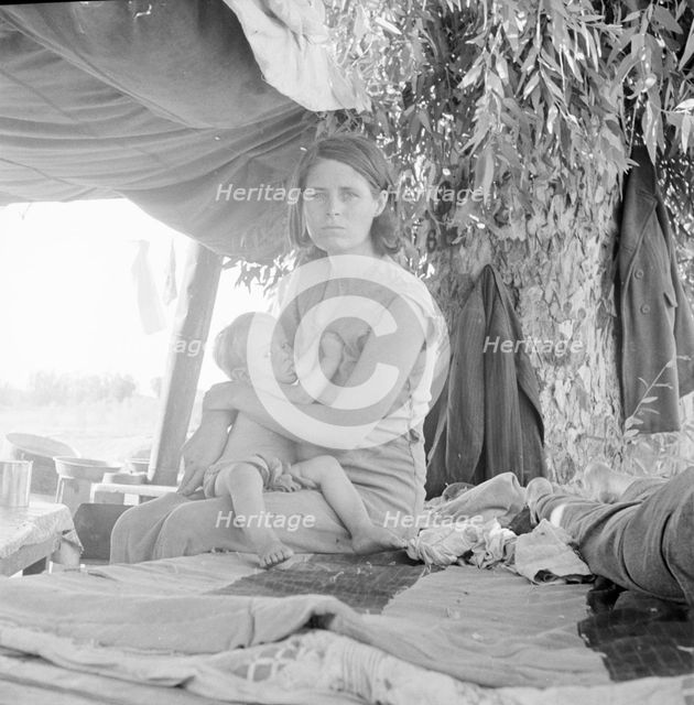Drought refugees from Oklahoma camping by the roadside, Blythe, California, 1936. Creator: Dorothea Lange.