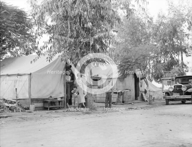 Drought refugees from Oklahoma in cotton camp near Exeter, California, 1936. Creator: Dorothea Lange.