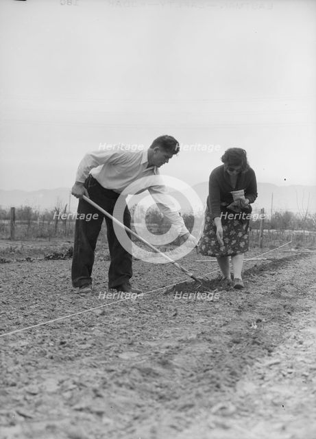 Drought refugees from Colorado, outskirts of San Bernardino, California., 1935. Creator: Dorothea Lange.
