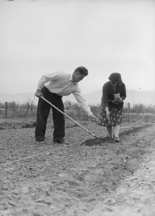 Drought refugees from Colorado, outskirts of San Bernardino, California., 1935. Creator: Dorothea Lange