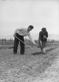 Drought refugees from Colorado, outskirts of San Bernardino, California., 1935. Creator: Dorothea Lange