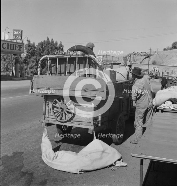 Drought refugees stopped at inspection station on the California-Arizona state line, 1937. Creator: Dorothea Lange.