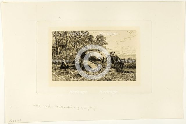 Dutch Cows, c. 1865. Creator: Charles Emile Jacque.