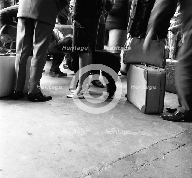Dutch legs, Amsterdam, Netherlands, 1963. Creator: Michael Walters.