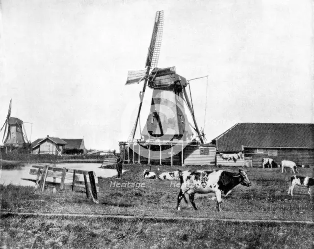 Dutch windmills, Holland, late 19th century. Artist: John L Stoddard