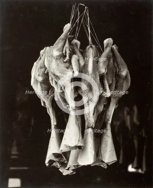 Ducks, Chinatown, Printed 1936. Creator: Lewis Wickes Hine.