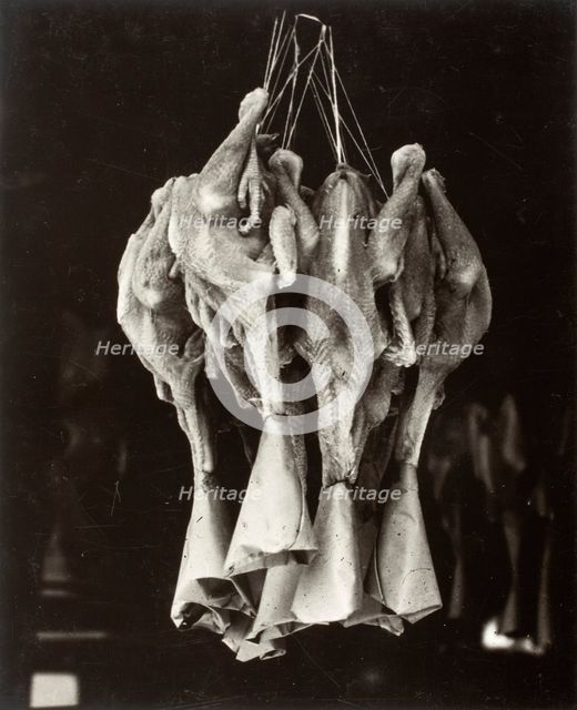 Ducks, Chinatown, Printed 1936. Creator: Lewis Wickes Hine.