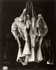 Ducks, Chinatown, Printed 1936. Creator: Lewis Wickes Hine