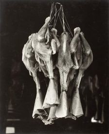Ducks, Chinatown, Printed 1936. Creator: Lewis Wickes Hine