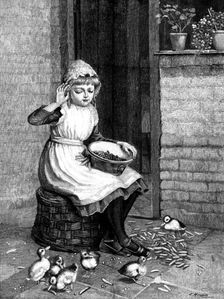 "Ducks and Green Peas" - by Miss E. Mitchell, 1890. Creator: R. Taylor