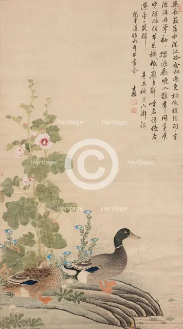 Ducks and hollyhocks, between 1912 and 1949. Creator: Unknown.