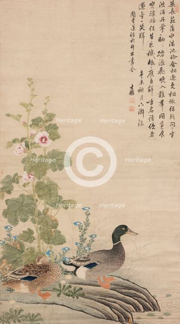 Ducks and hollyhocks, between 1912 and 1949. Creator: Unknown.