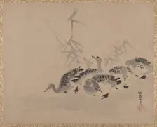 Ducks and Reeds, ca. 1650. Creator: Kanô Tan'yû