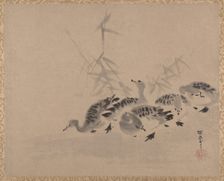 Ducks and Reeds, ca. 1650. Creator: Kanô Tan'yû