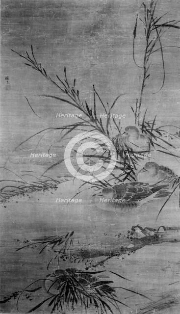 Ducks and Reeds. Creator: After Lin Liang (Chinese, ca. 1416-1480).