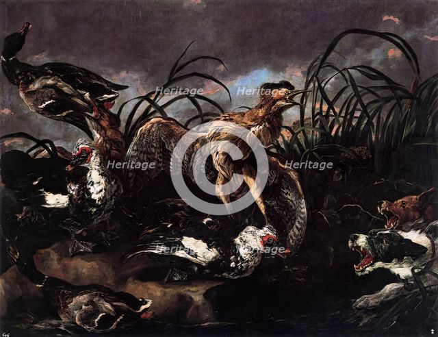 Ducks and waterfowl, 1650. Creator: Jan Fyt.
