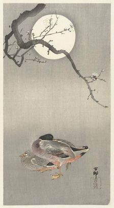Ducks at full moon. Creator: Ohara, Koson (1877-1945)