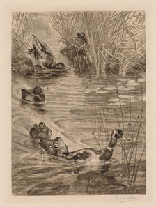 Ducks at play, c. 1870. Creator: Félix Bracquemond (French, 1833-1914)