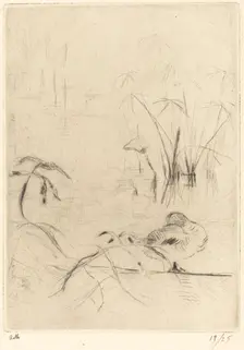 Ducks at Rest on the Bank, 1888/1890. Creator: Berthe Morisot
