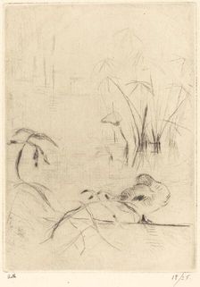 Ducks at Rest on the Bank, 1888/1890. Creator: Berthe Morisot