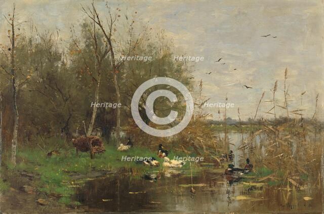 Ducks beside a duck shelter on a ditch, 1884. Creator: George Poggenbeek.