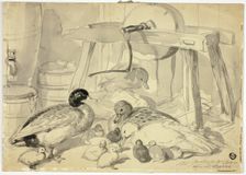 Ducks, Ducklings and Grindstone, n.d. Creator: John Frederick Herring I