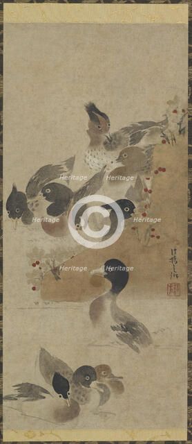 Ducks, Edo period, (18th century?). Creator: Unknown.