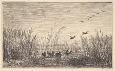 Ducks in the Marshes, [1862], reprinted 1921. Creator: Charles Francois Daubigny