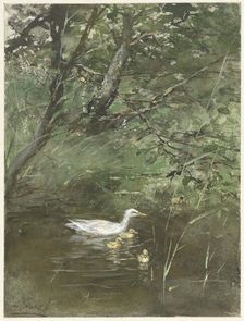 Ducks in the water, 1854-1892. Creator: Willem Maris