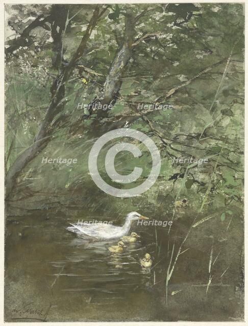Ducks in the water, 1854-1892. Creator: Willem Maris.