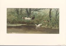 Ducks on canal bank, 1844-1910. Creator: Willem Maris