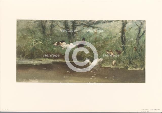 Ducks on canal bank, 1844-1910. Creator: Willem Maris.